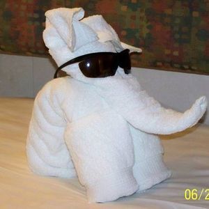 Meet your Posher, Delbert